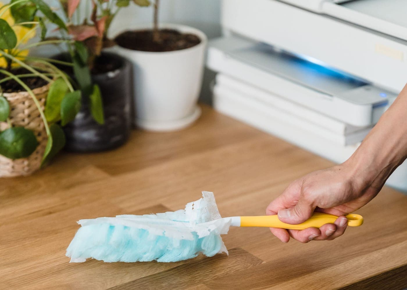 Plumeau passé sur le plateau d'un bureau, entre plantes et imprimante